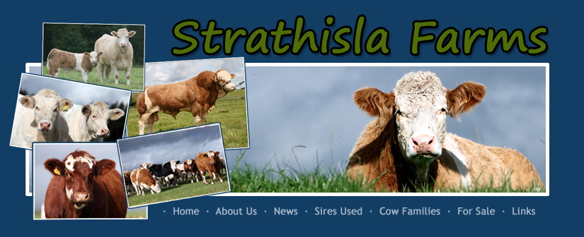Strathisla Farms